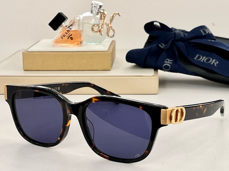 DIOR Sunglasses 9